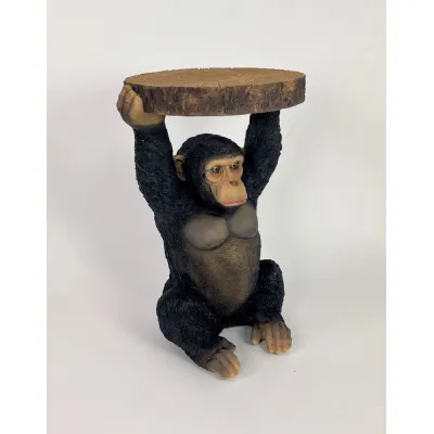 Chimpanzee Holding 'Trunk Slice' Side Table
