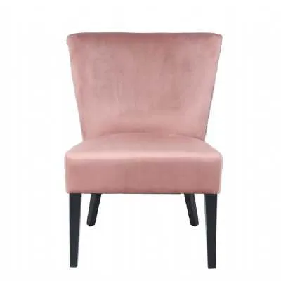 Blush Pink Curved Back Chair