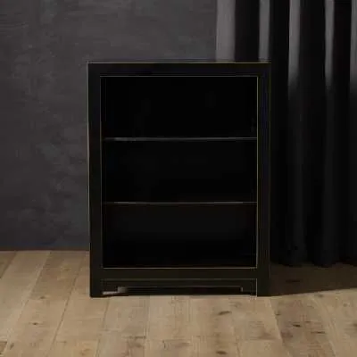 The Nine Schools Qing Black Gloss and Gold Gilt Antique Small Low Chinese Bookcase 45x60x110cm