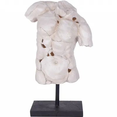 Cracked Fractured Textured Male Torso Sculpture on Stand