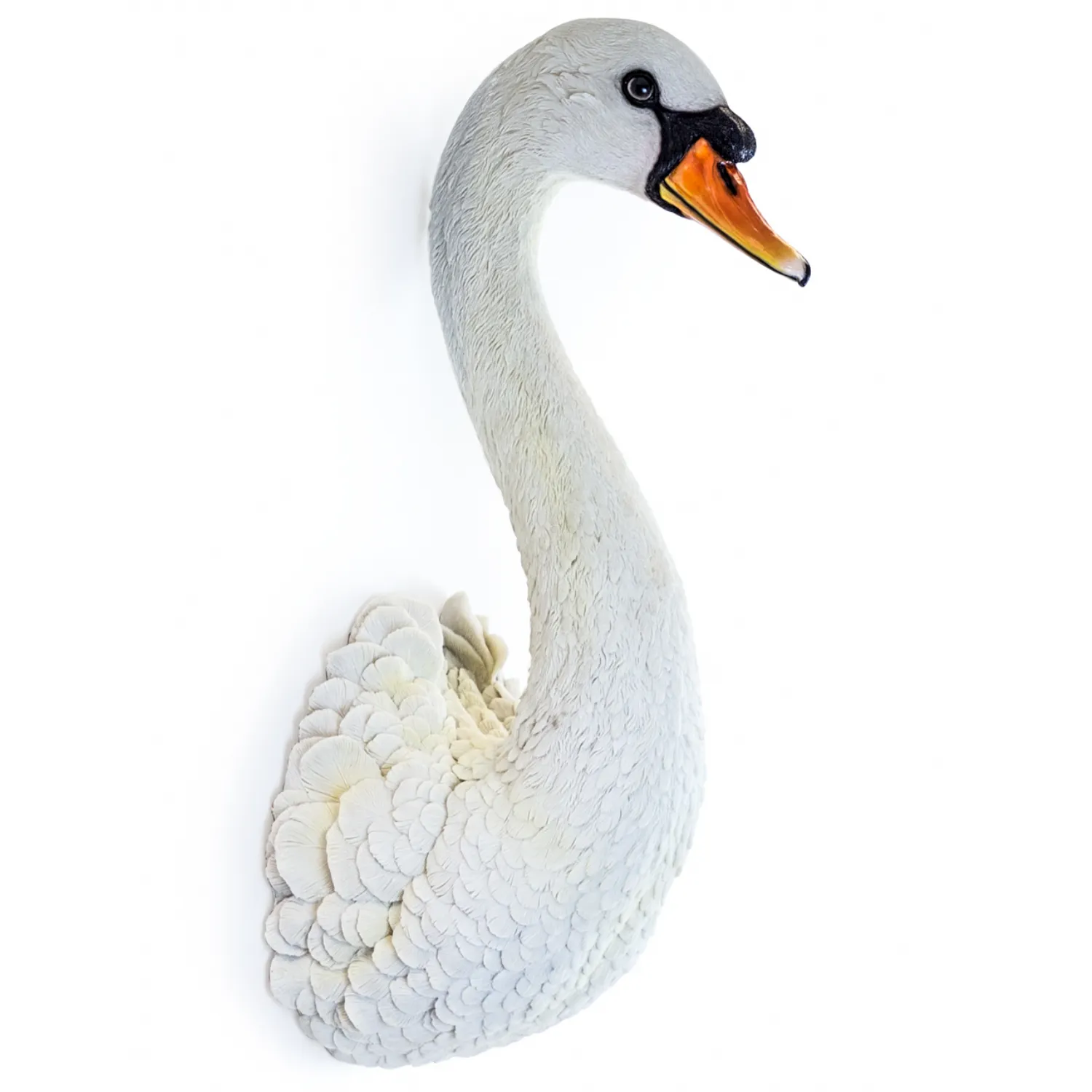 White Swan Hanging Wall Head